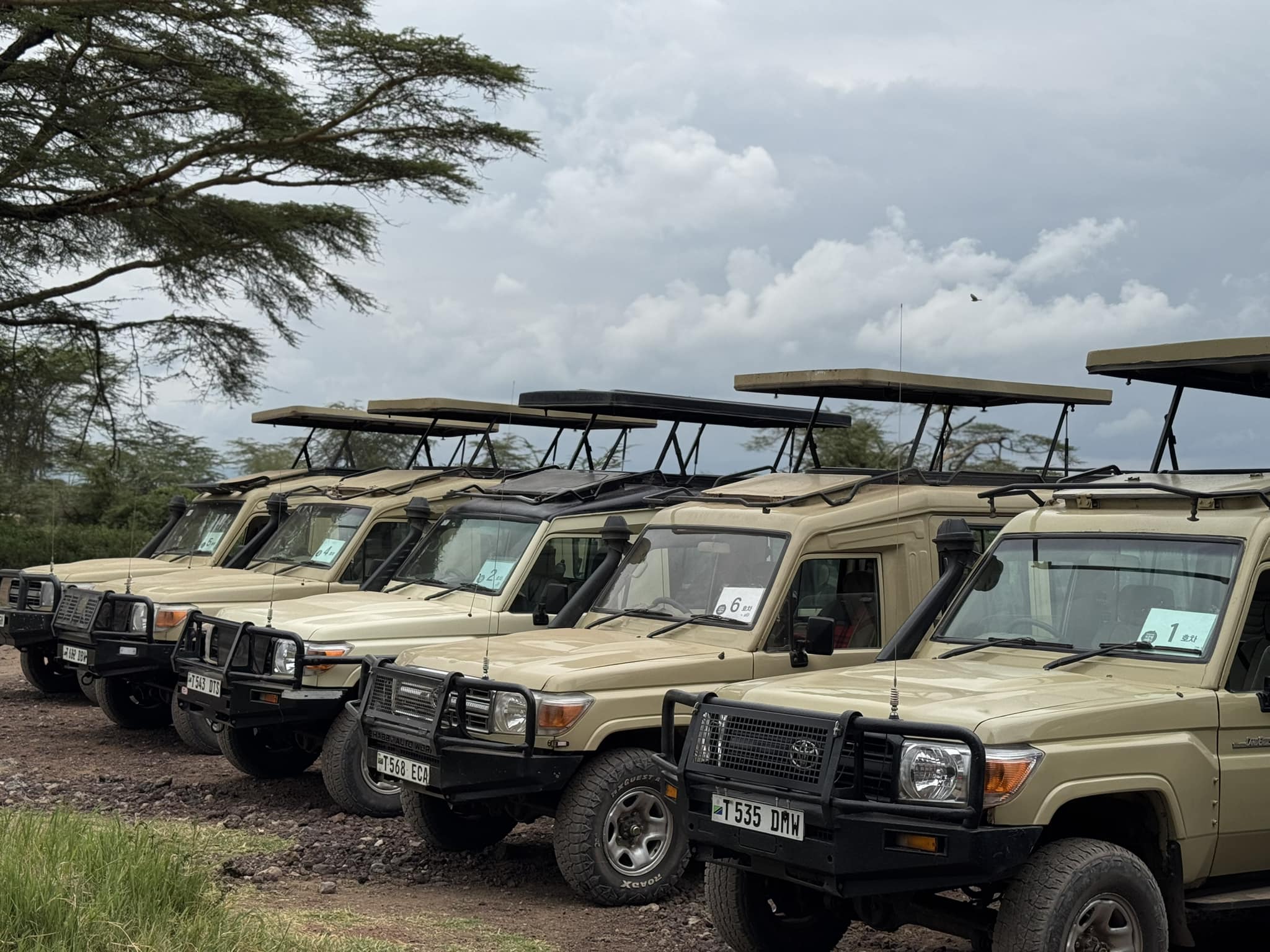 best safari company in tanzania